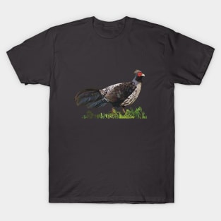 Kalij Pheasant, game bird T-Shirt